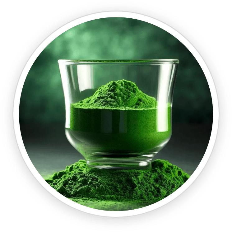 Sodium Copper Chlorophyllin