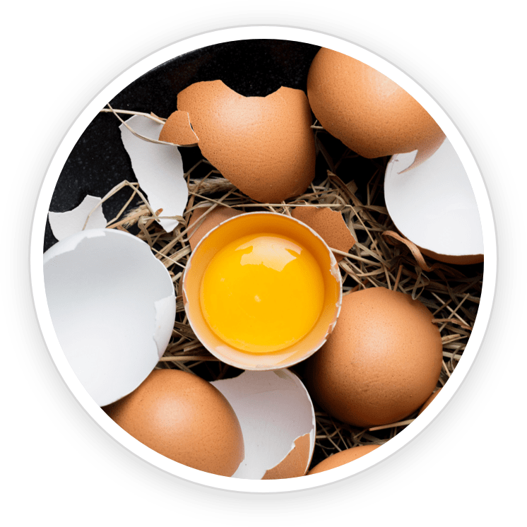 Palmitoylethanolamide