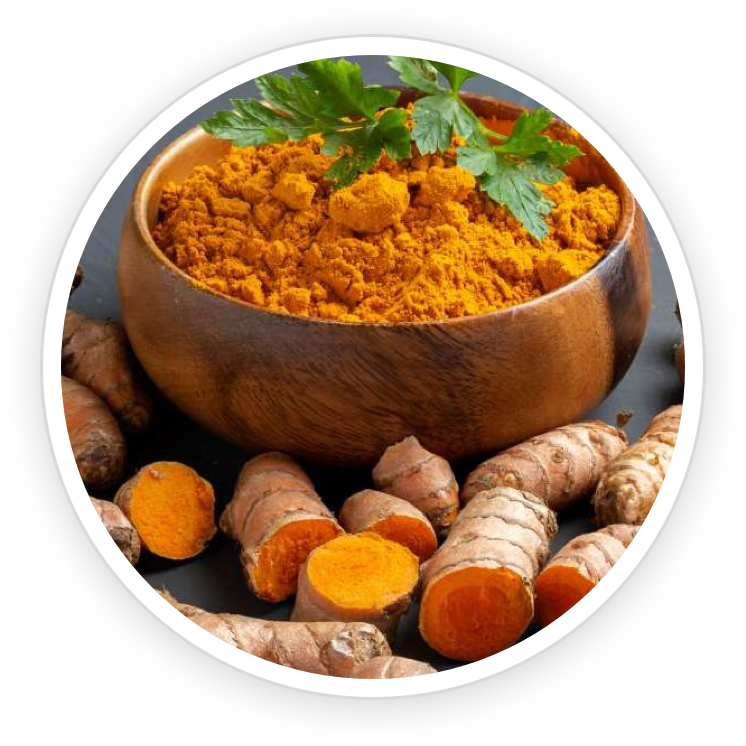Turmeric Root Extract