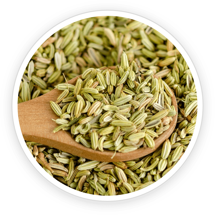 Fennel Seed Powder