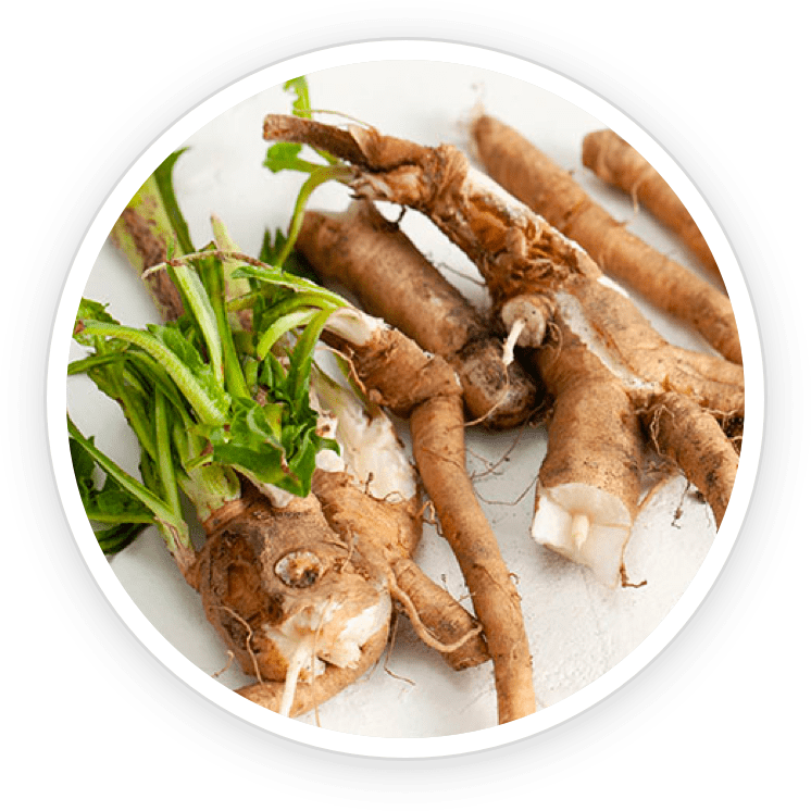 Chicory Root Inulin
