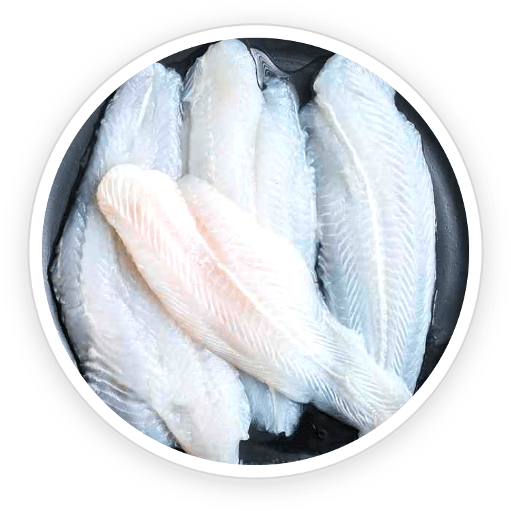 Hydrolyzed Fish Cod Collagen