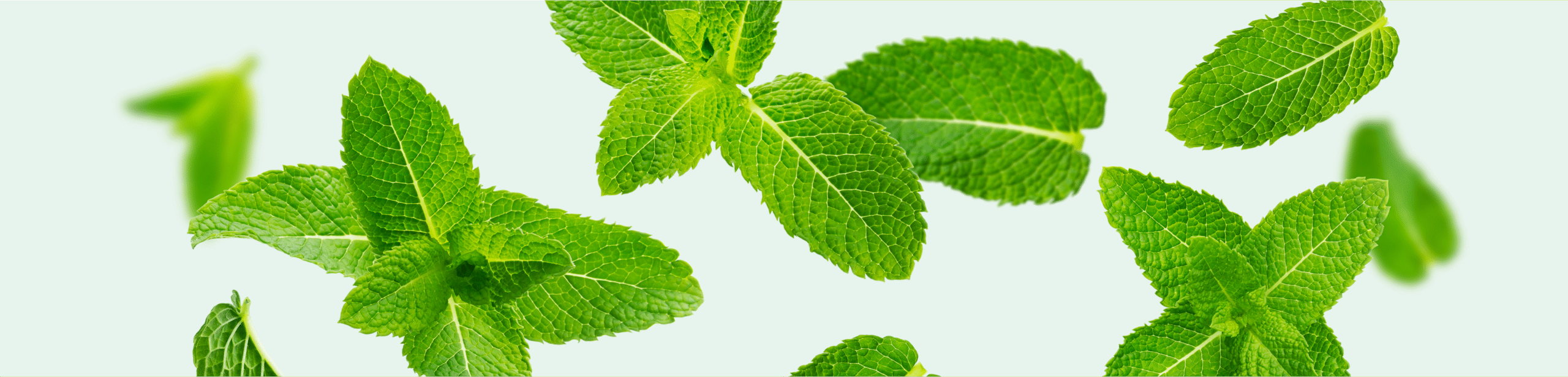 PawBiotix how it works